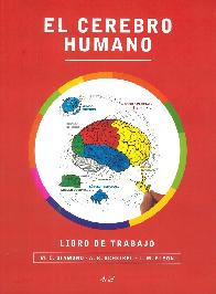 El cerebro humano