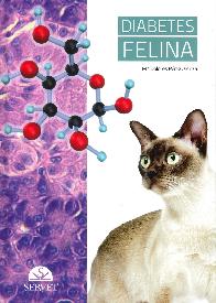 Diebetes felina