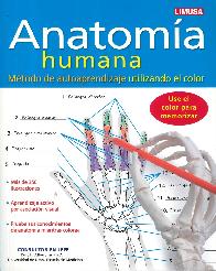 Anatoma Humana