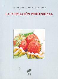 La formacin profesional