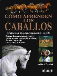 Cmo aprenden los Caballos