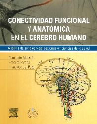Conectividad funcional y anatmica en el cerebro humano