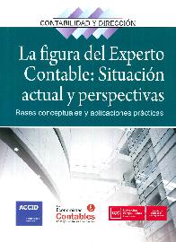 La Figura del Experto Contable : Situaci�n Actual y Perspectivas