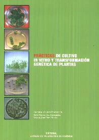 Pr�cticas de cultivo in vitro y transformaci�n gen�tica de plantas