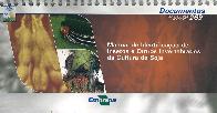 Manual de Identificaao de Insetos e Outros Invertebrados da Cultura da Soja