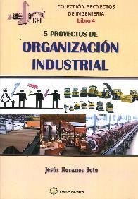 5 Proyectos de  Organizacin Industrial