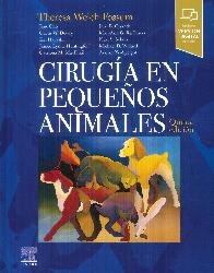 Cirugia en pequeos animales