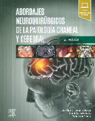Abordajes neuroquirrgicos de la patolog craneal y cerebral