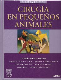 Ciruga en pequeos animales