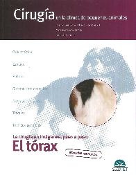 Ciruga en la clnica de pequeos animales