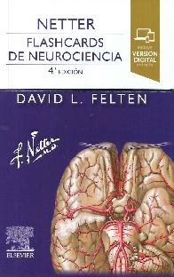 Flashcards de neurociencia NETTER