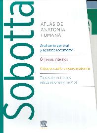 Atlas de Anatoma humana 3 volmenes Tablas SOBOTTA