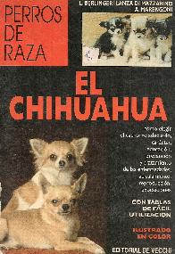 El Chihuhua