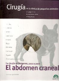 Ciruga en la clnica de pequeos animales