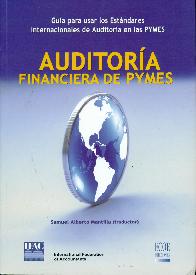 Auditora Financiera de PYMES