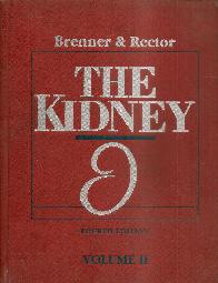 The Kidney 2ts