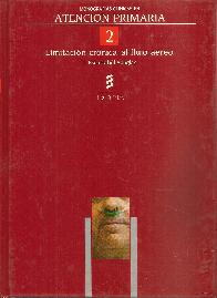 Limitacion cronica al flujo aereo