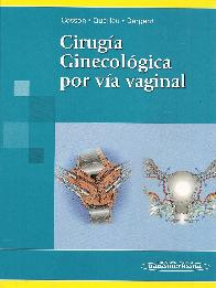 Cirugia Ginecologica por Via Vaginal