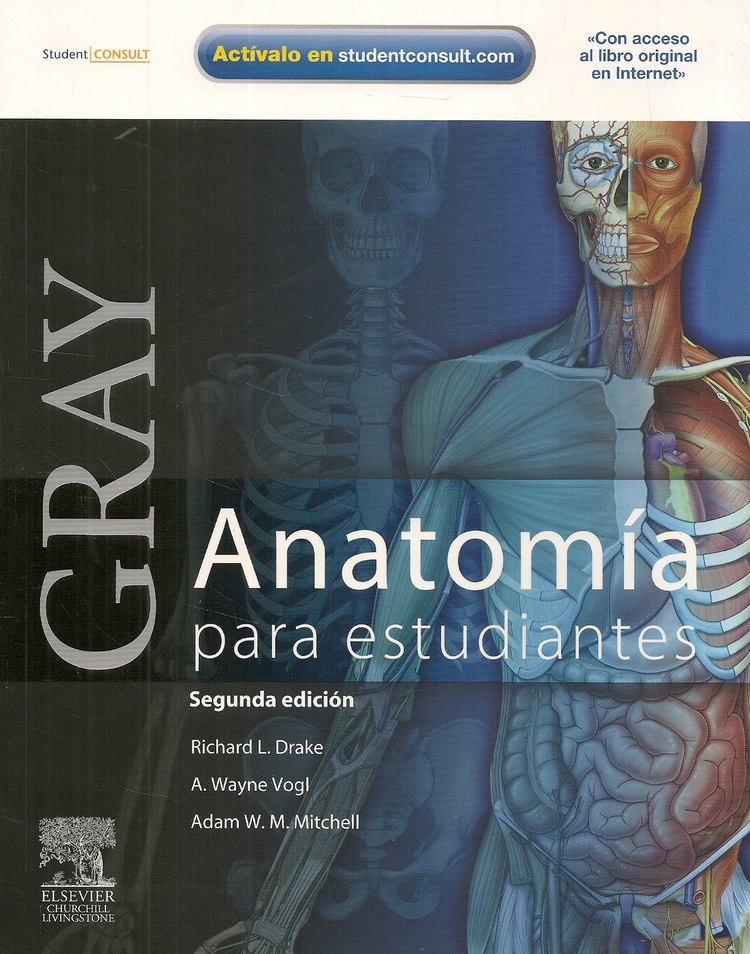 Anatomia para estudiantes Gray 