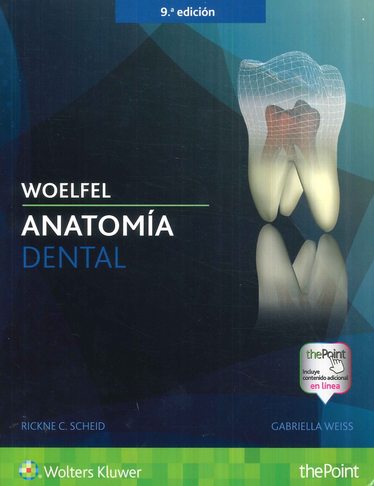 Anatomía Dental Woelfel