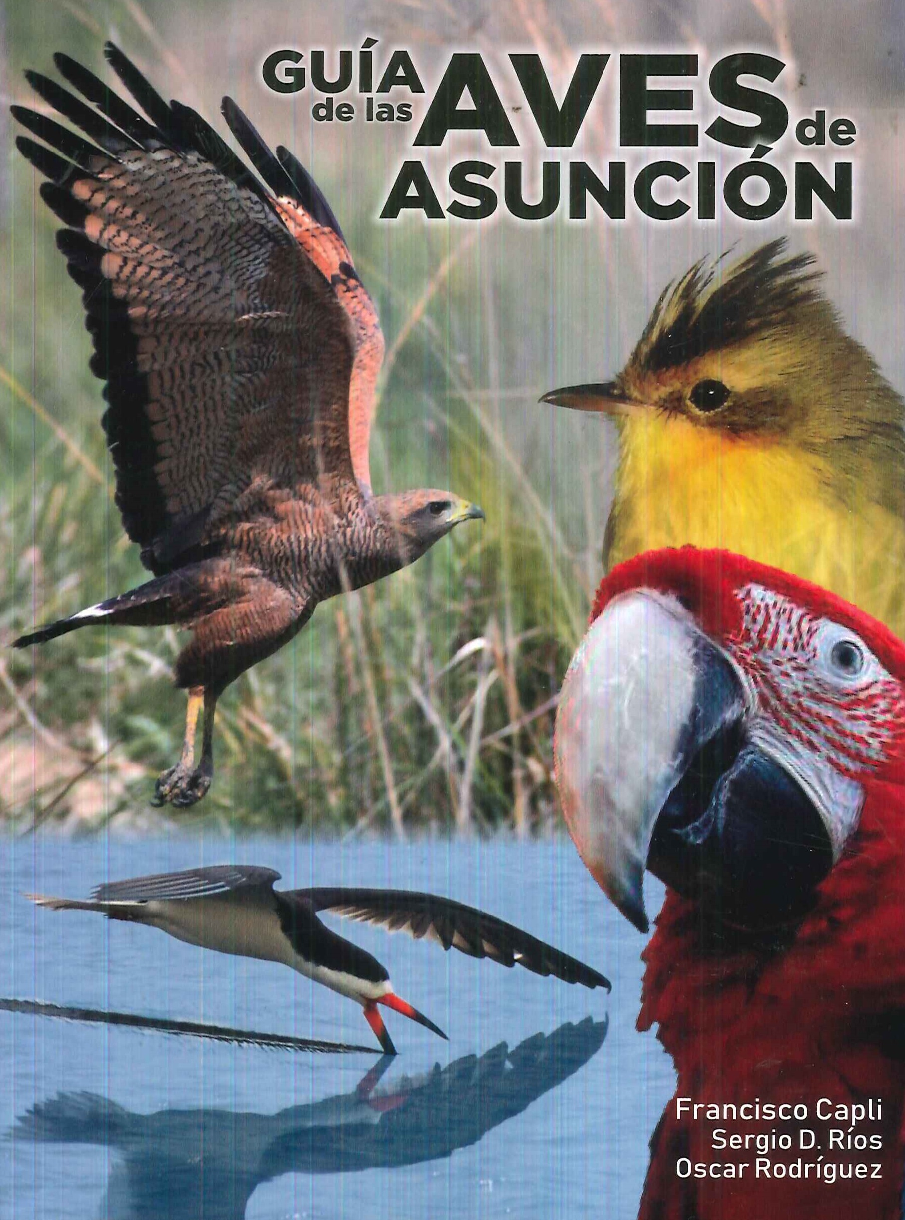 Guía de las aves de Asunción Paraguay | Ediciones Técnicas Paraguayas