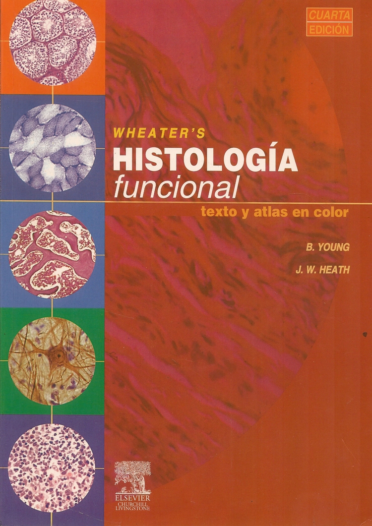  Wheaters Histologia Funcional  texto y atlas en color 