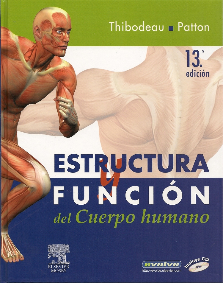 Estructura Y Funcion Del Cuerpo Humano Ediciones Técnicas Paraguayas