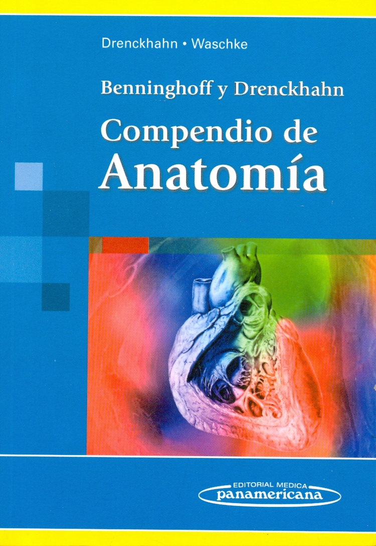 Compendio de Anatomía Benninghoff y Drenckhahn