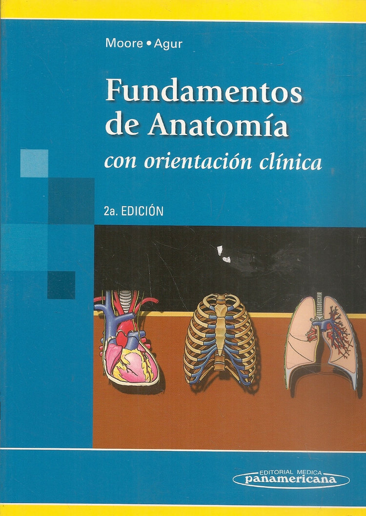 Fundamentos De Medicina y Enfermería - ANATOMÍA DE SUPERFICIE DEL