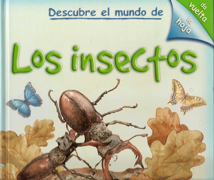 Descubre el mundo de Los insectos