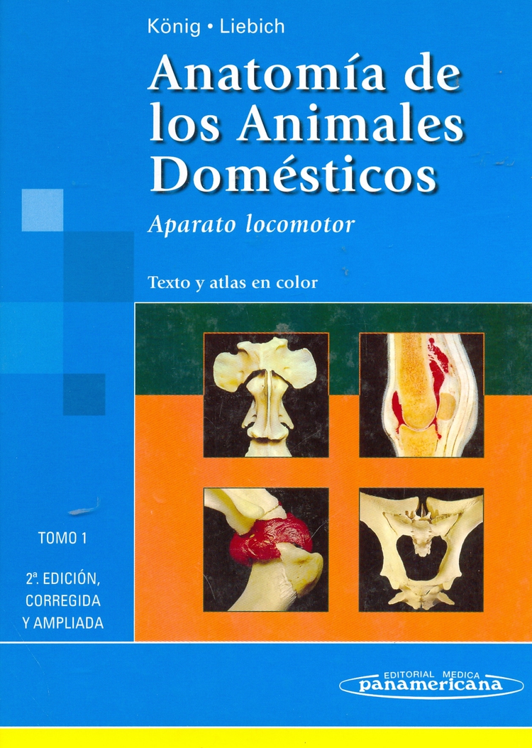 Anatomía de los Animales Domésticos 2 Tomos