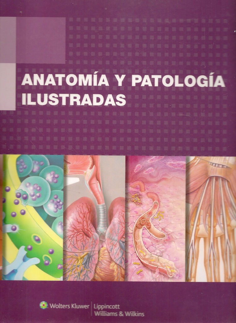 Anatomía y Patología Ilustradas