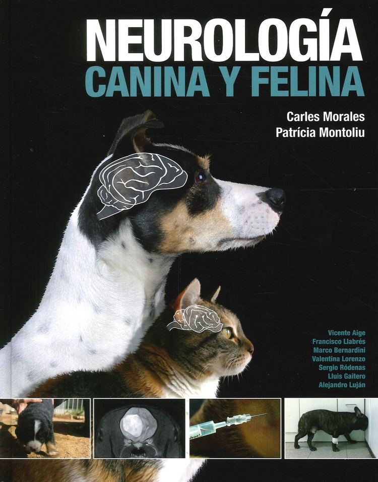Neurologa canina y felina