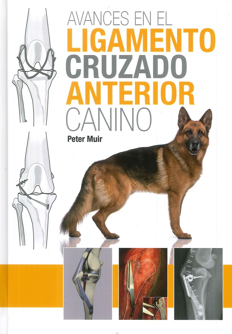 Avances en el ligamento cruzado anterior canino