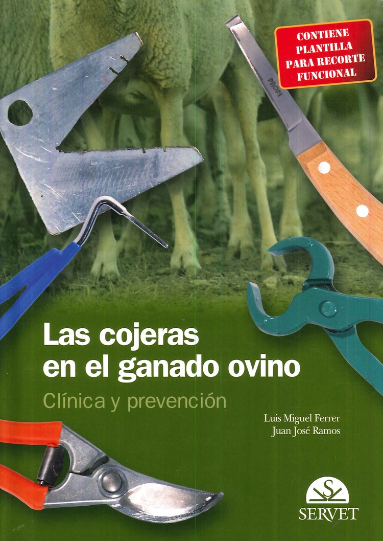 Las cojeras en el ganado ovino. Clnica y prevencin