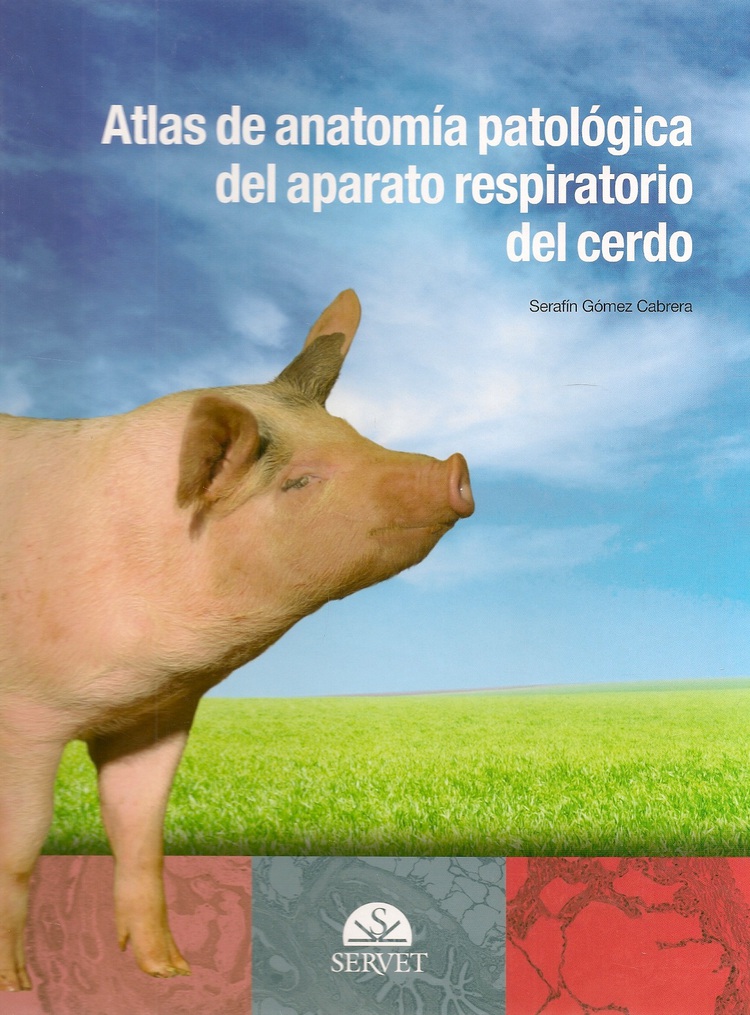 Atlas de anatom�a patol�gica del aparato respiratorio del cerdo