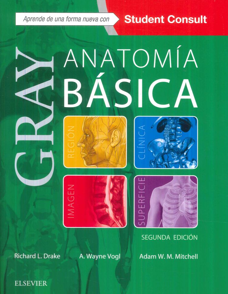 Gray Anatoma Bsica