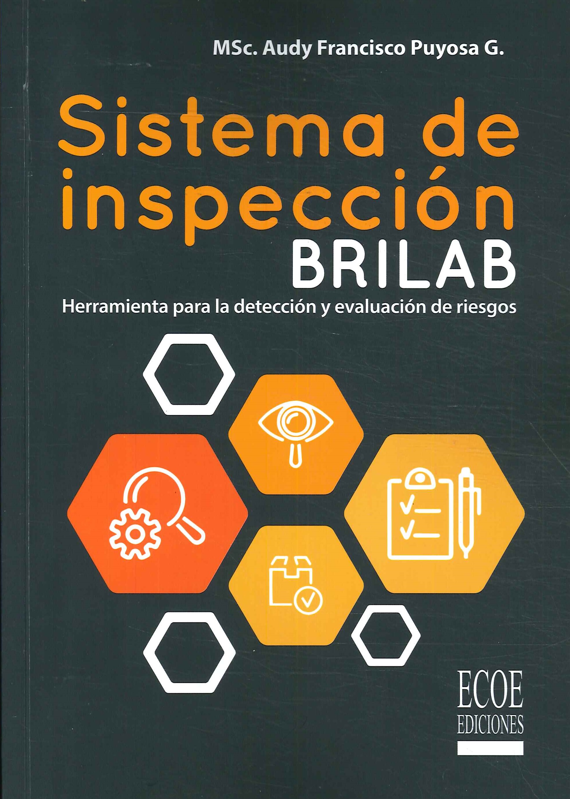 Sistema de Inspecin BRILAB