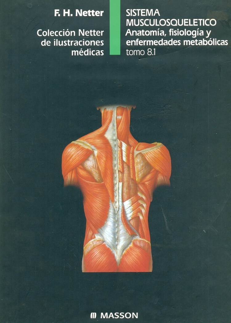 Netter Sistema musculosqueletico. Anatomia, fisiologia y enfermedades metabolicas.