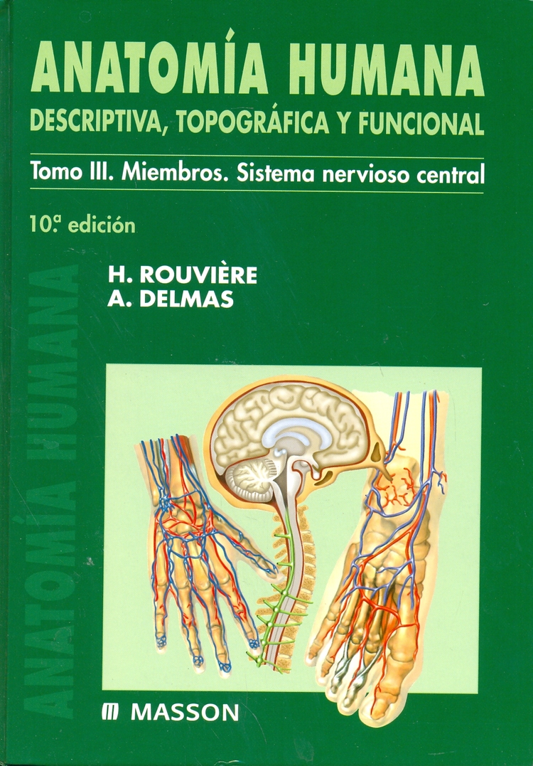 Anatomia Humana III Sistema Nervioso Central