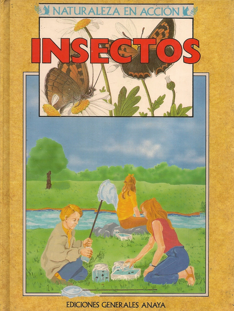 Insectos