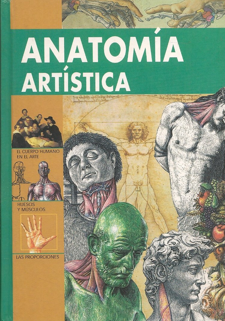 Anatom�a art�stca