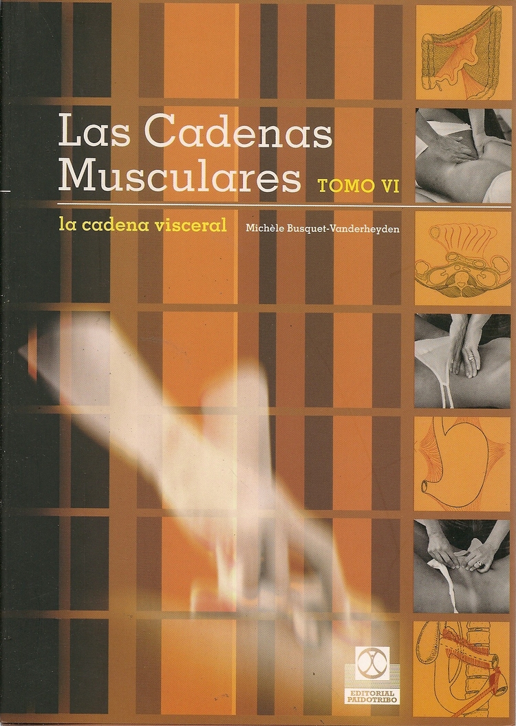 Las cadenas musculares Tomo VI