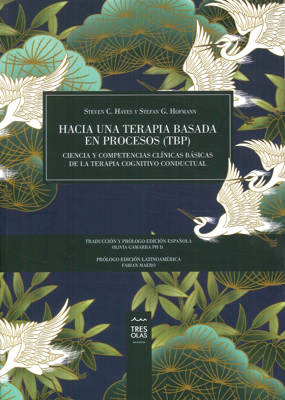Hacia una terapia basada en procesos (TBP)
