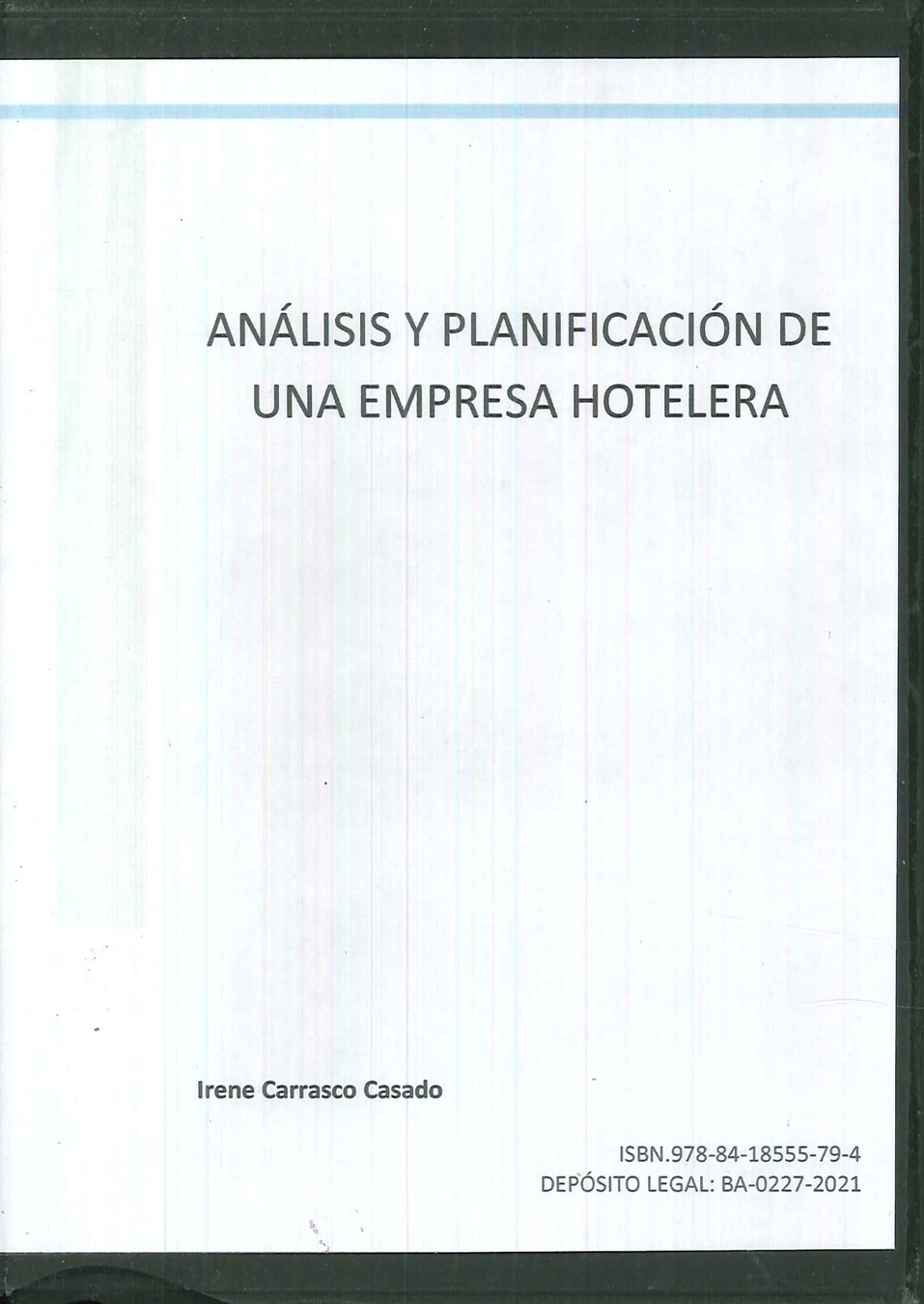 Anlisis y planificacin de una empresa hotelera