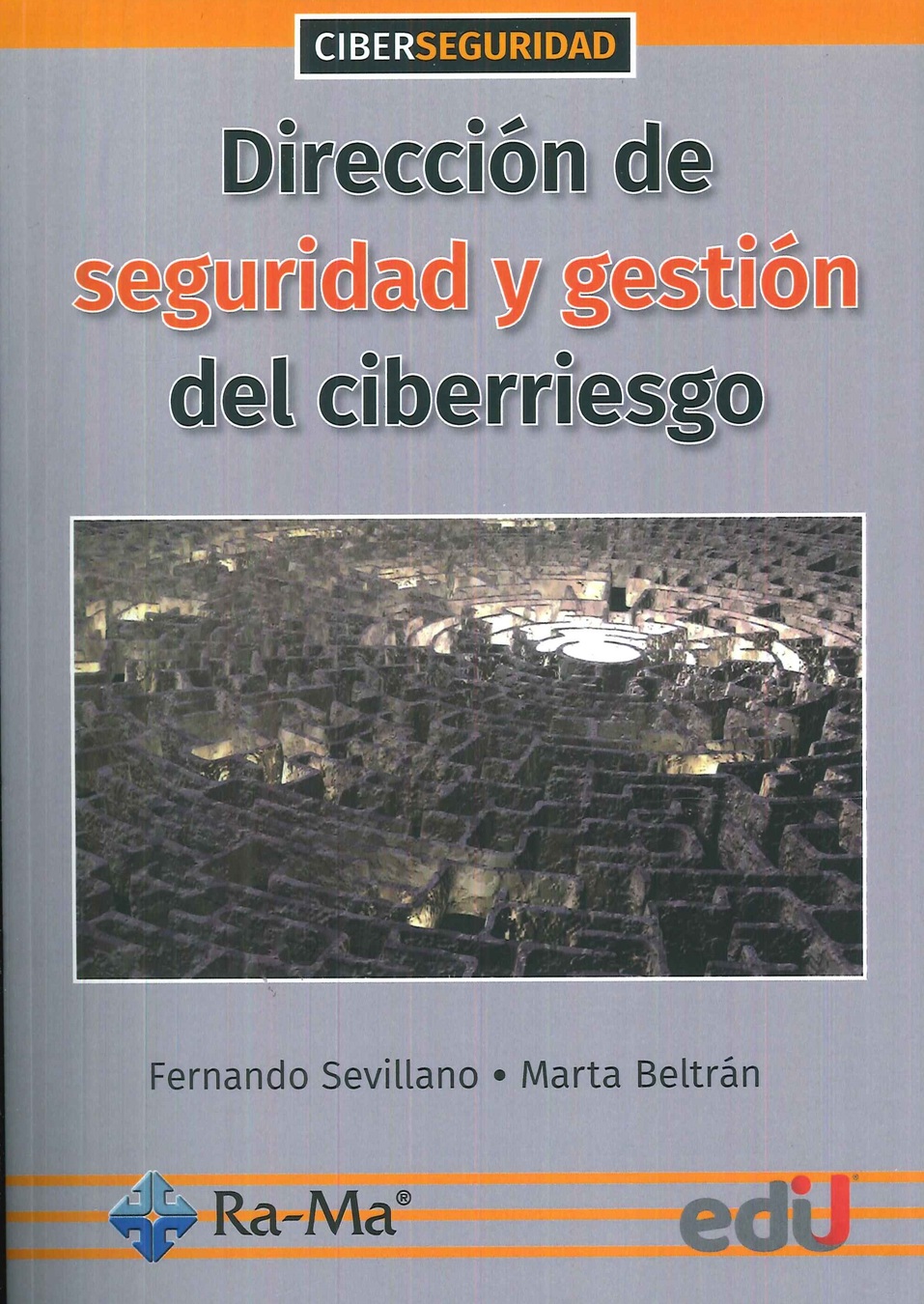 Direccin de seguridad y gestin del ciberriesgo