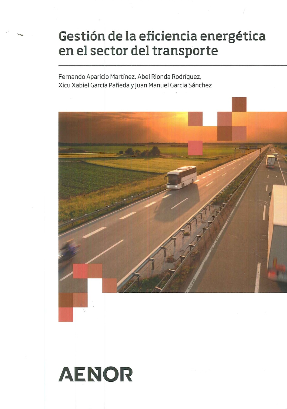 Gestin de la eficiencia energtica en el sector del transporte