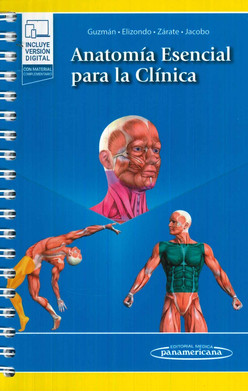 Anatoma esencial para la clnica