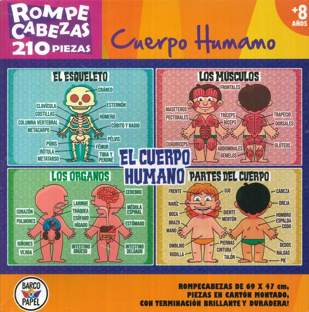 Rompe Cabezas 210 Piezas Cuerpo Humano