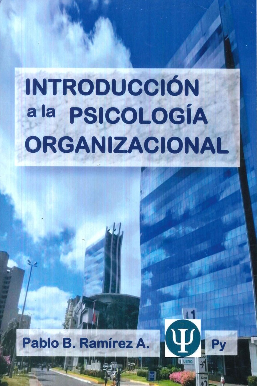 Introducci�n a la Psicolog�a Organizacional